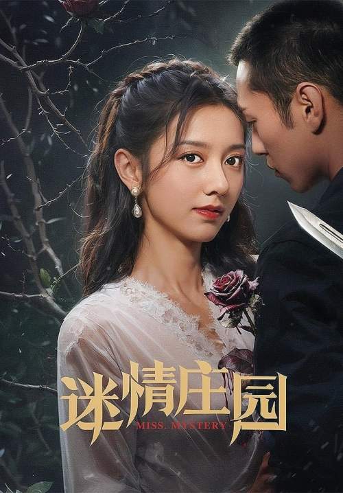 Miss Mystery-ปริศนาจำแลงรัก (ซับไทย)