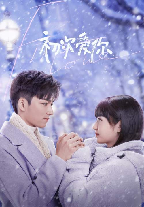 First Love - วุ่นนัก โจทย์รักแรก (พากย์ไทย) (จบ)