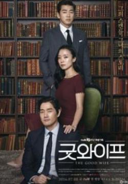 (จบ)The Good wife(บรรยายไทย)