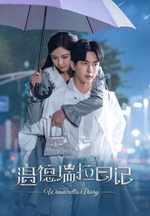 Wenderella's Diary - บันทึกรักเวนเดอเรลล่า (พากย์ไทย) (StreamX)