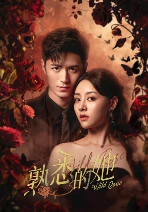 Wild Rose - ทวงแค้นได้รัก (ซับไทย) (StreamX)
