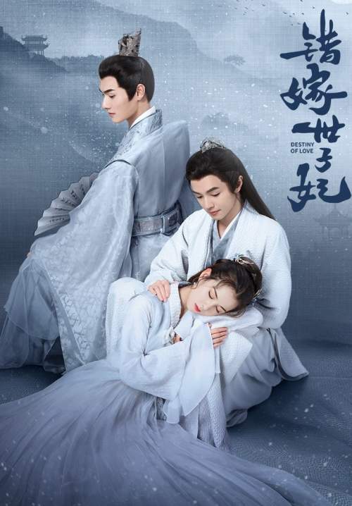 Destiny of Love - รักสลับบัลลังก์ (ซับไทย) (StreamX)