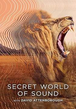 Secret World of Sound with David Attenborough - โลกลับแห่งเสียงกับเดวิด แอทเทนเบอเรอห์ (ซับไทย) (จบ)