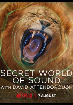 โลกลับแห่งเสียงกับเดวิด แอทเทนเบอเรอห์ - Secret World of Sound with David Attenborough (พากย์ไทย) (จบ)