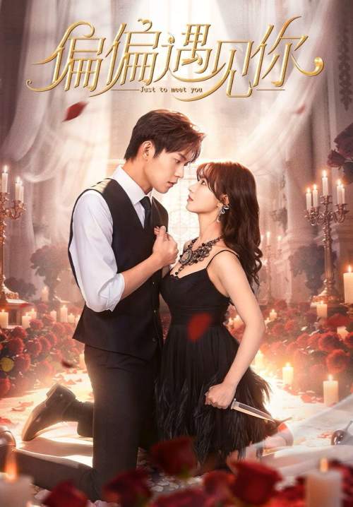 Just To Meet You - บังเอิญพบก็เผลอรัก (ซับไทย) (Stream X)