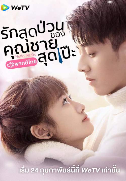 Hello Mr. Gu - รักสุดป่วนของคุณชายสุดเป๊ะ (พากย์ไทย) (Stream X)