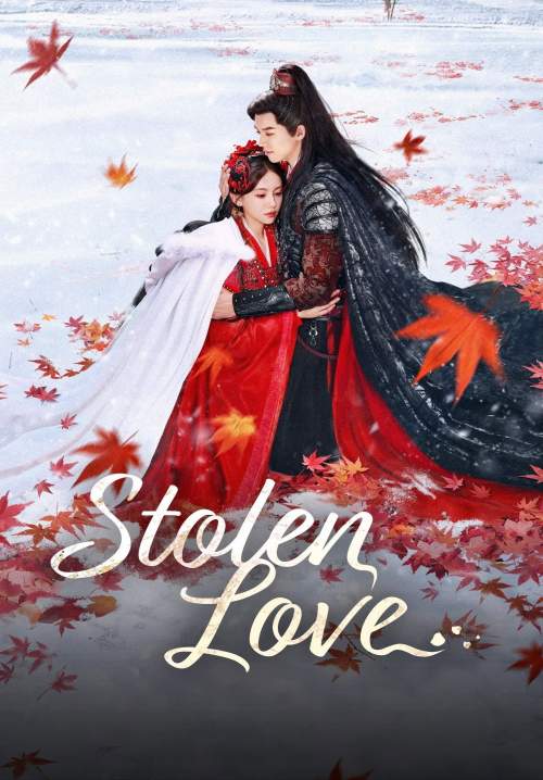 Stolen Love - ชิงรักสลักใจ (พากย์ไทย) (Stream X)