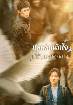 ปลูกรักพักใจใต้ต้นมะกอกขาว - The White Olive Tree (พากย์ไทย)