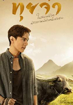 ทุยจ๋า (จบ)