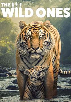 The Wild Ones (ซับไทย)