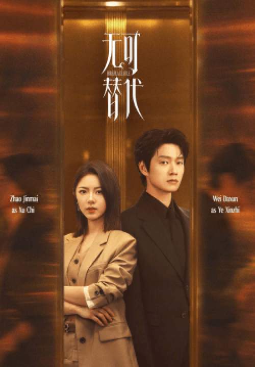 Irreplaceable - กลเกมเหนือโชคชะตา (ซับไทย) (จบ)