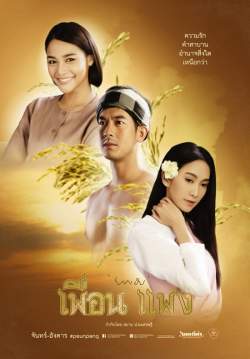 เพื่อนแพง
