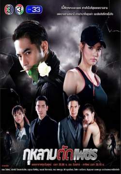 กุหลาบตัดเพชร (จบ)