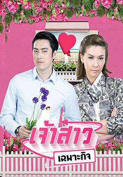เจ้าสาวเฉพาะกิจ (จบ)