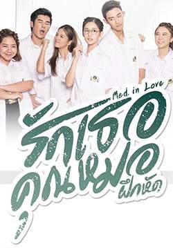 รักเธอคุณหมอฝึกหัด - Med in Love