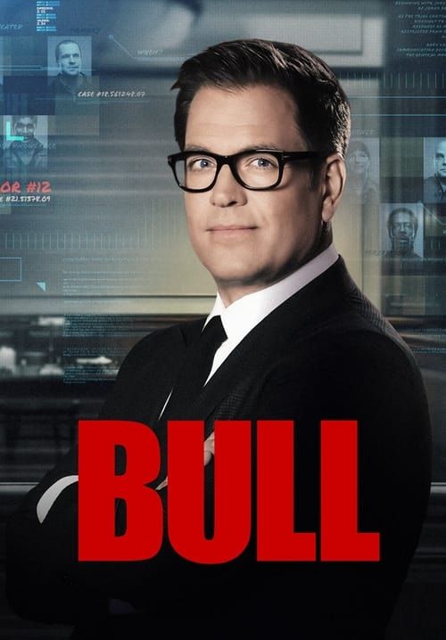 Bull (ซับไทย)
