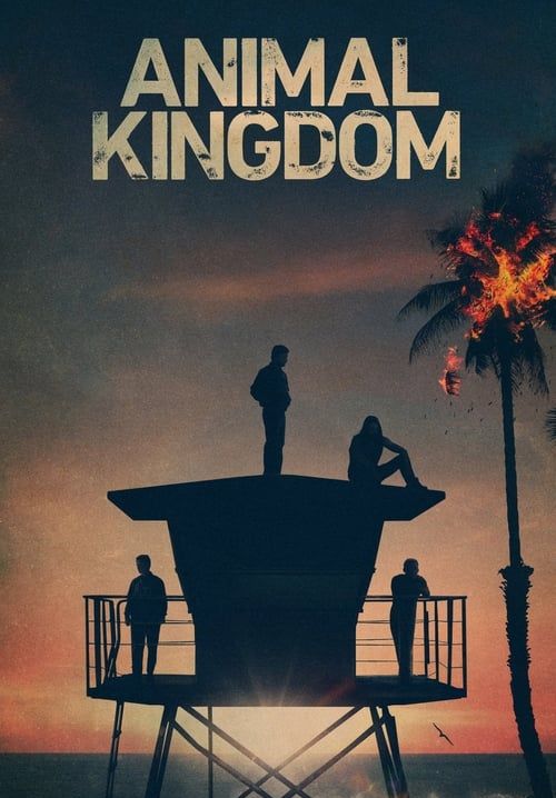 Animal Kingdom - ตระกูลชั่ว ครอบครัวโจร (ซับไทย)