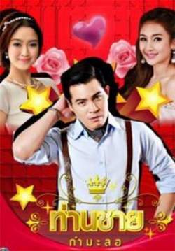 (จบ)ท่านชายกำมะลอ