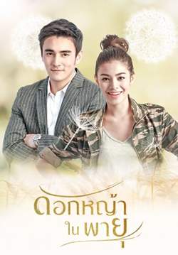 ดอกหญ้าในพายุ (จบ)