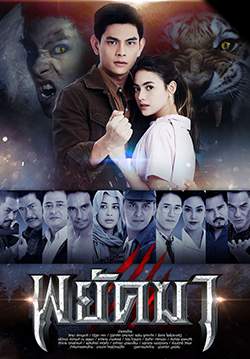 พยัคฆา (จบ)