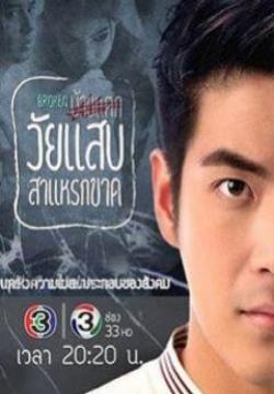 (จบ)วัยแสบสาแหรกขาด