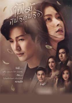 ใบไม้ที่ปลิดปลิว (จบ)
