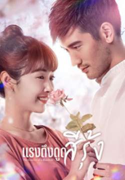 The Gravity of A Rainbow - แรงดึงดูดสีรุ้ง (ซับไทย) (จบ)