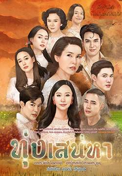 ทุ่งเสน่หา (จบ)