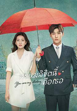 You Are My Destiny - พรหมลิขิตนี้คือเธอ (ซับไทย) (จบ)