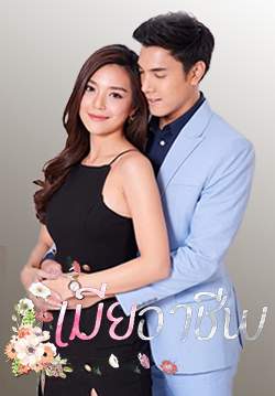 เมียอาชีพ (จบ)