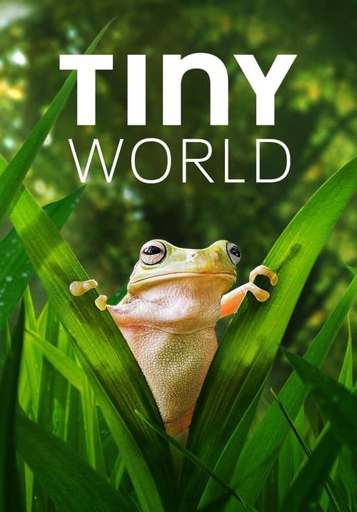 Tiny World (ซับไทย)