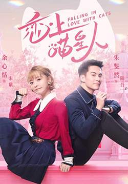 Falling in Love With Cats - ตกหลุมรักสาวแมวเหมียว (ซับไทย)