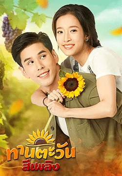 ทานตะวันสีเพลิง (2564) (จบ)