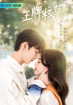 Campus Ace - เกมรักของคุณชายตัวร้าย (ซับไทย) (จบ)