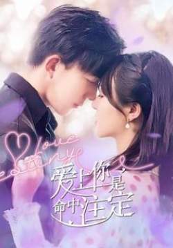 Love Destiny (ซับไทย)