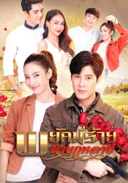 พยัคฆ์ร้ายนายกุหลาบ (จบ)