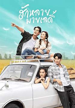 ฮักหลายมายเลดี้ (จบ)