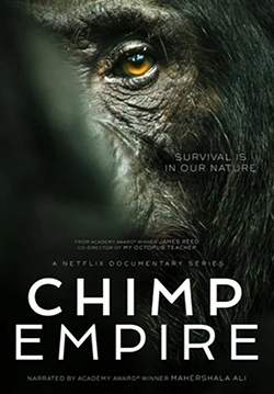 Chimp Empire - อาณาจักรซิมแปนซี (ซับไทย) (จบ)