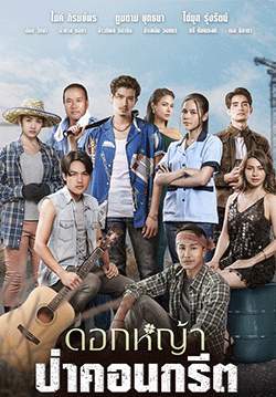 ดอกหญ้าป่าคอนกรีต (จบ)