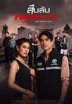 สืบลับหมอระบาด (จบ)