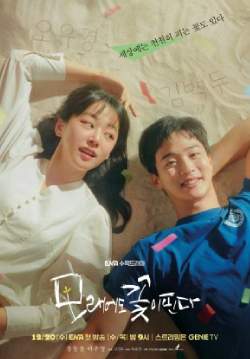 Like Flowers in Sand - ดอกไม้สังเวียนทราย (ซับไทย) (จบ)