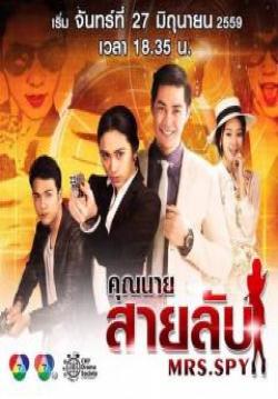 (จบ)คุณนายสายลับ