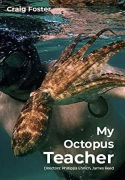 My Octopus Teacher - บทเรียนจากปลาหมึก (ซับไทย)