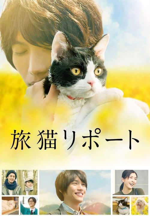 The Travelling Cat Chronicles - ผม แมว และการเดินทางของเรา