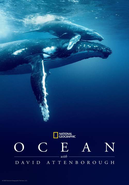 Ocean with David Attenborough (ซับไทย) (StreamX)