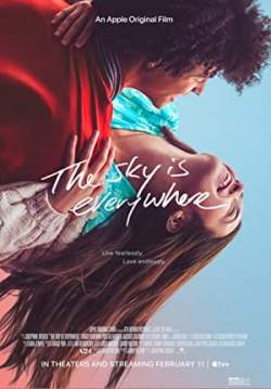 The Sky Is Everywhere (ซับไทย)