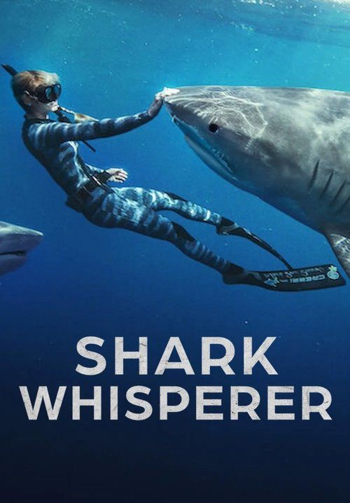 Shark Whisperer - คนรักษ์ฉลาม