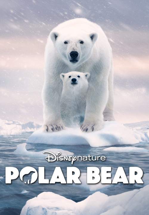 Polar Bear (พากย์ไทย) (StreamX)