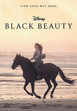 Black Beauty (ซับไทย)