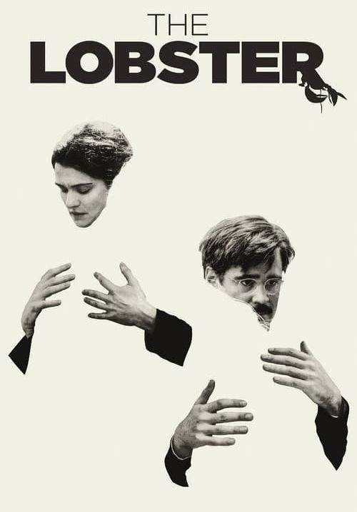 THE LOBSTER